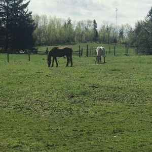 Meet your Posher, Tina